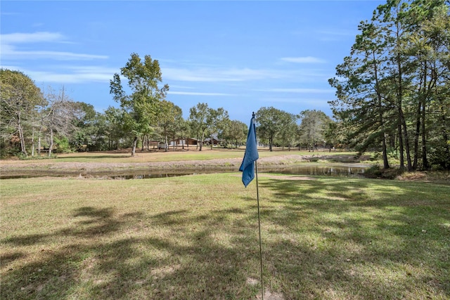 view of community featuring a yard