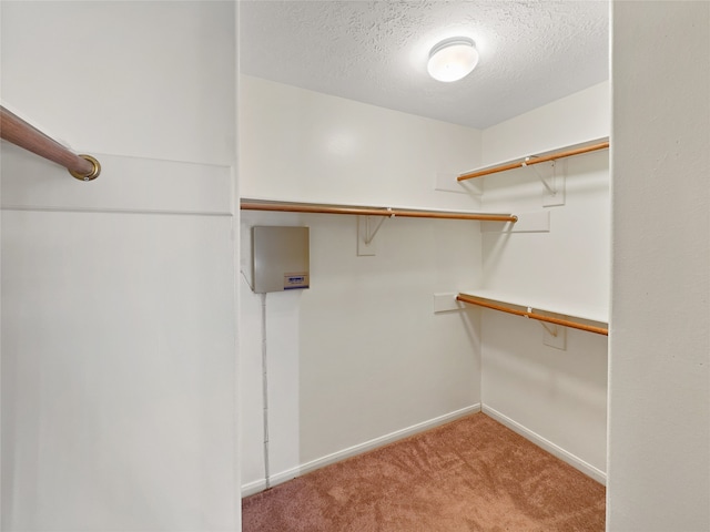 walk in closet featuring carpet flooring