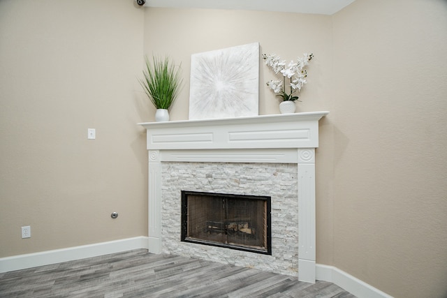 details featuring a stone fireplace and wood-type flooring