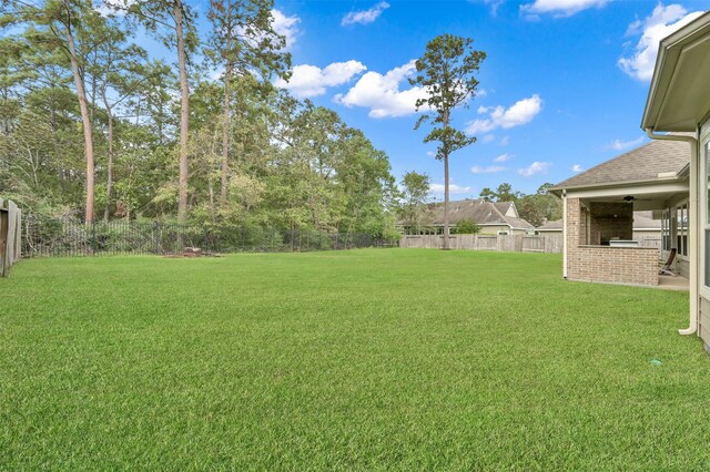 view of yard with a patio area