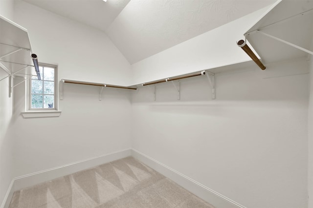 spacious closet featuring lofted ceiling and carpet floors