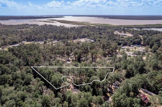 525 Canadian Dr, Trinity, TX 75862 - photo 2