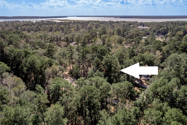 525 Canadian Dr, Trinity, TX 75862 - photo 3