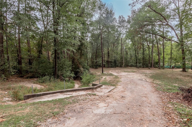 525 Canadian Dr, Trinity, TX 75862 - photo 4