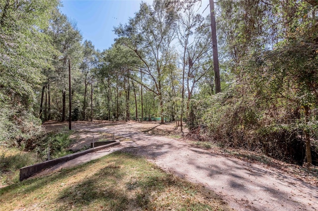 525 Canadian Dr, Trinity, TX 75862 - photo 5