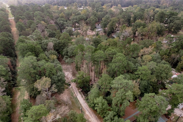 525 Canadian Dr, Trinity, TX 75862 - photo 7