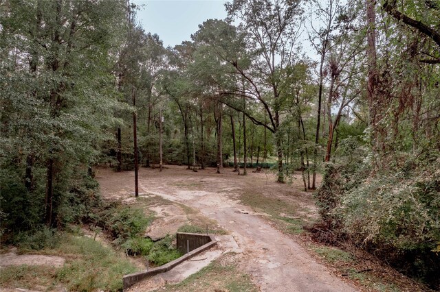 525 Canadian Dr, Trinity, TX 75862 - photo 8