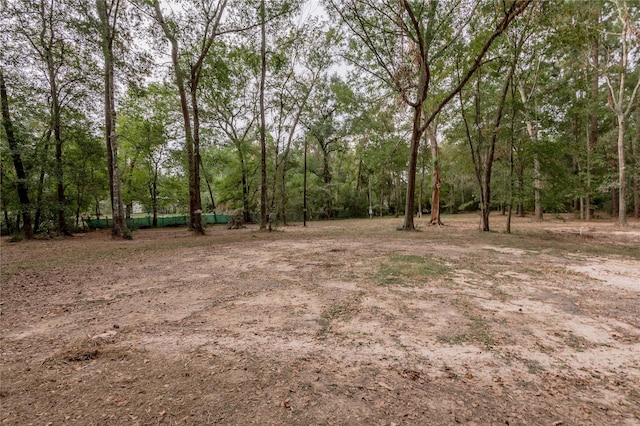525 Canadian Dr, Trinity, TX 75862 - photo 9