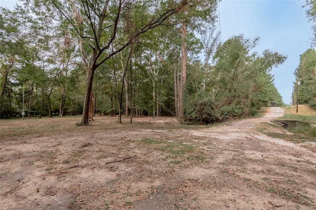 525 Canadian Dr, Trinity, TX 75862 - photo 12