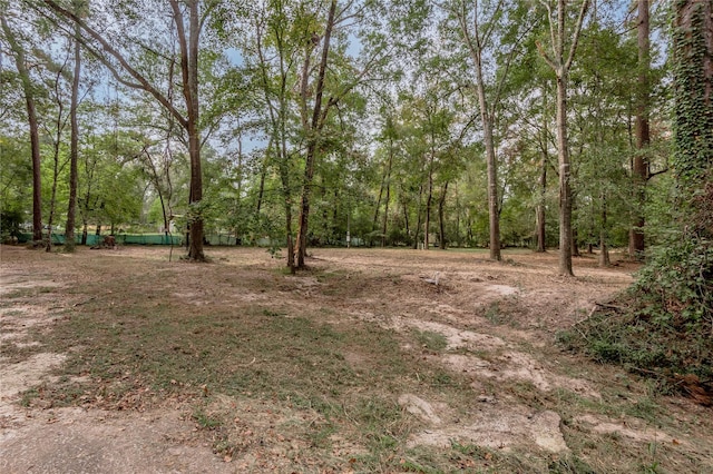 525 Canadian Dr, Trinity, TX 75862 - photo 13