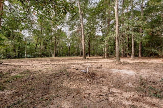 525 Canadian Dr, Trinity, TX 75862 - photo 14