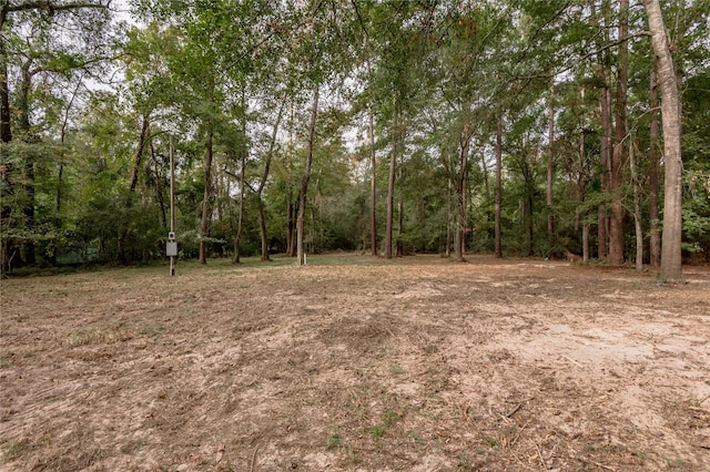 525 Canadian Dr, Trinity, TX 75862 - photo 15