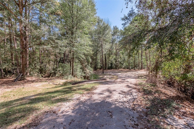 525 Canadian Dr, Trinity, TX 75862 - photo 17