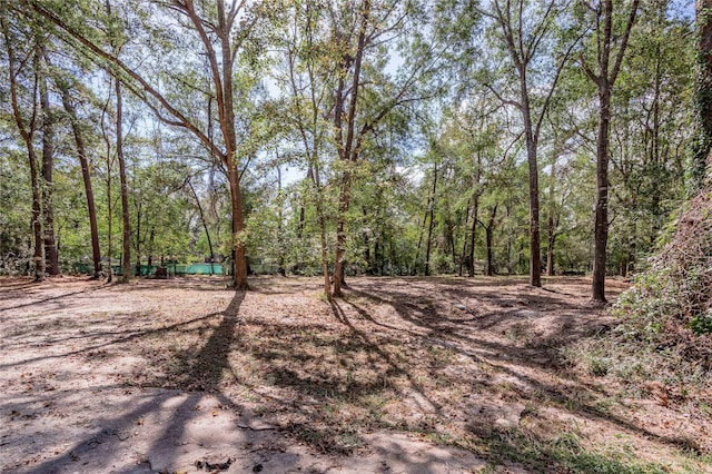 525 Canadian Dr, Trinity, TX 75862 - photo 18