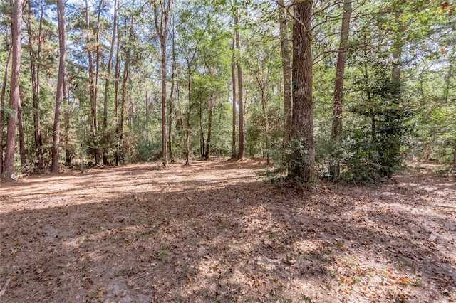 525 Canadian Dr, Trinity, TX 75862 - photo 20