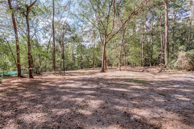 525 Canadian Dr, Trinity, TX 75862 - photo 21