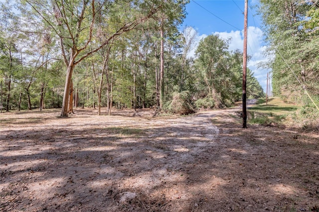 525 Canadian Dr, Trinity, TX 75862 - photo 22