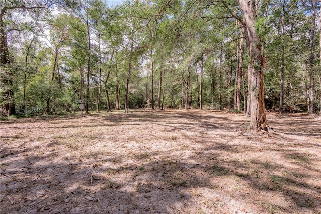 525 Canadian Dr, Trinity, TX 75862 - photo 23