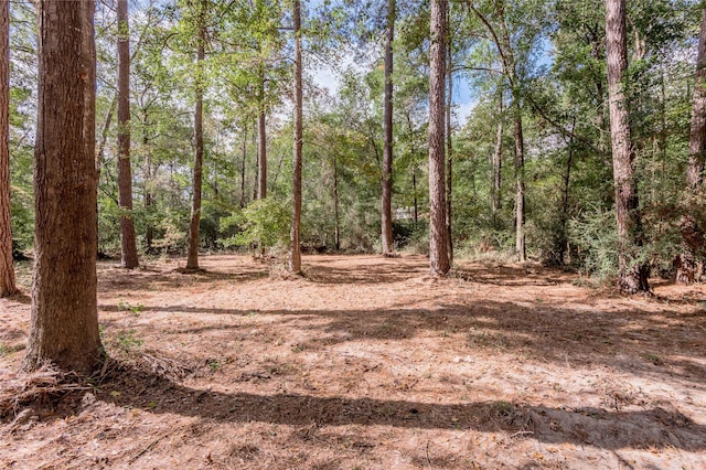 525 Canadian Dr, Trinity, TX 75862 - photo 24
