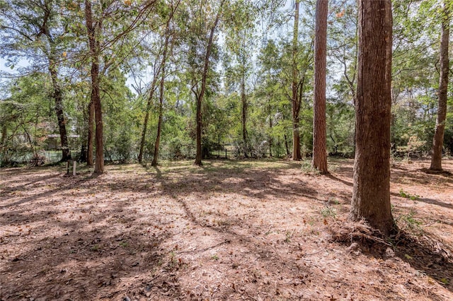 525 Canadian Dr, Trinity, TX 75862 - photo 25