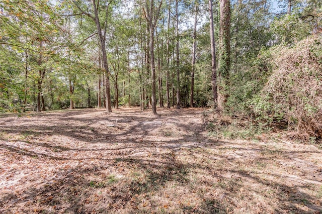 525 Canadian Dr, Trinity, TX 75862 - photo 26
