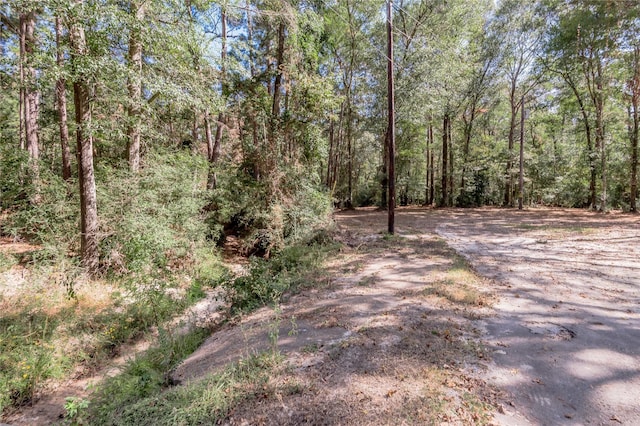 525 Canadian Dr, Trinity, TX 75862 - photo 27
