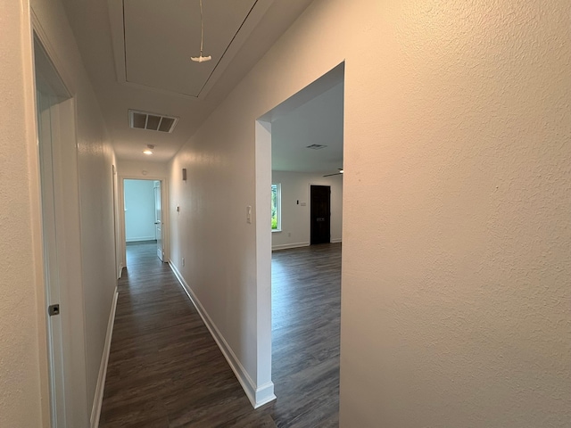 hall featuring dark wood-type flooring