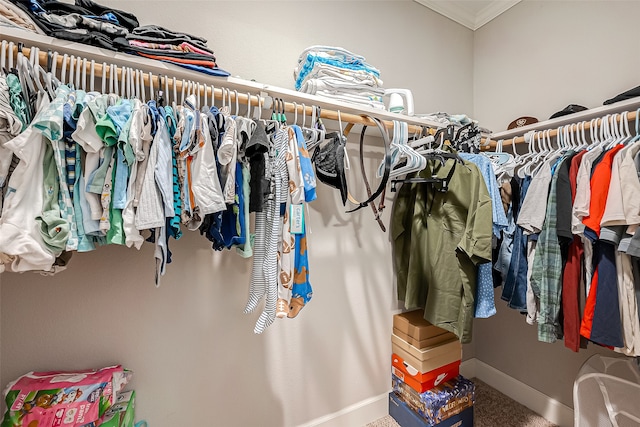 spacious closet featuring carpet