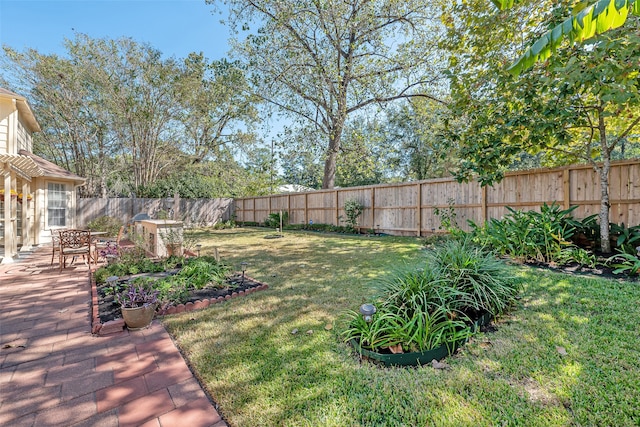 view of yard featuring a patio area