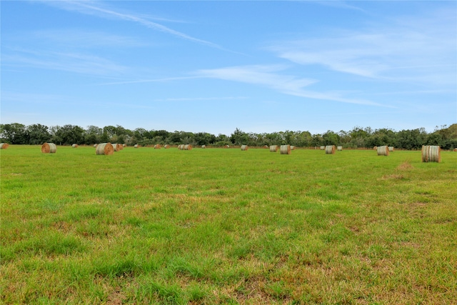 view of yard with a rural view