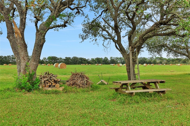 view of yard featuring a rural view