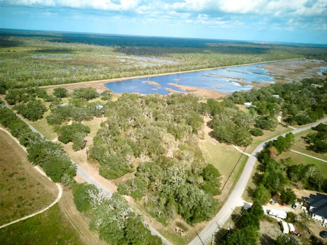 TBD Lake View Rd, Damon, TX 77430 - photo 1