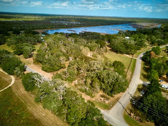 TBD Lake View Rd, Damon, TX 77430 - photo 3