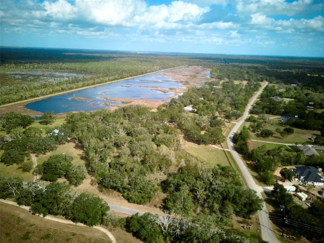 TBD Lake View Rd, Damon, TX 77430 - photo 4