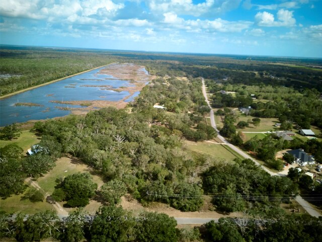 TBD Lake View Rd, Damon, TX 77430 - photo 5