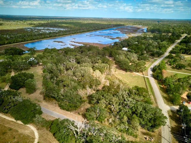 TBD Lake View Rd, Damon, TX 77430 - photo 6