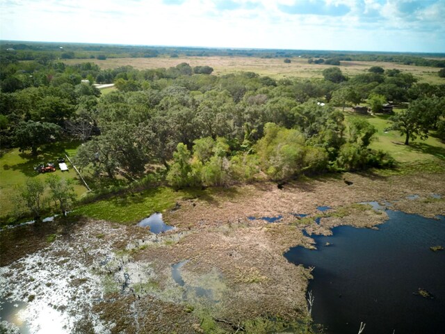TBD Lake View Rd, Damon, TX 77430 - photo 10