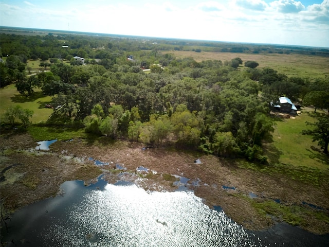 TBD Lake View Rd, Damon, TX 77430 - photo 11