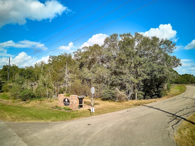TBD Lake View Rd, Damon, TX 77430 - photo 17