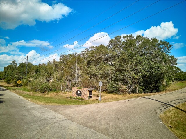 TBD Lake View Rd, Damon, TX 77430 - photo 18