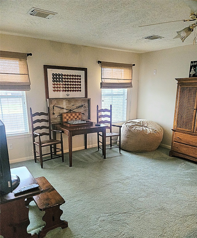 living area featuring carpet flooring, a textured ceiling, and a healthy amount of sunlight