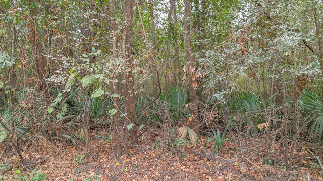0 Plantation Rd, Trinity, TX 75862