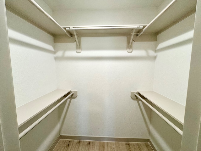 spacious closet with wood-type flooring