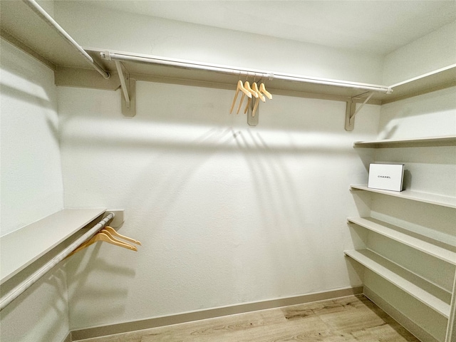 spacious closet featuring light hardwood / wood-style flooring