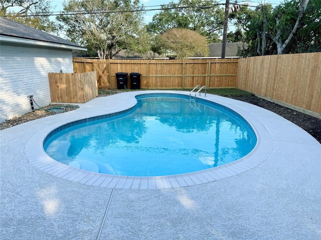 view of swimming pool