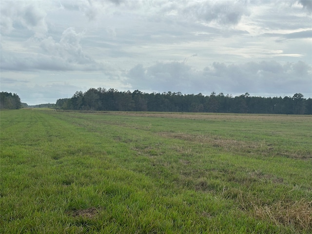 Listing photo 3 for TBD County Road 3114, Buna TX 77612