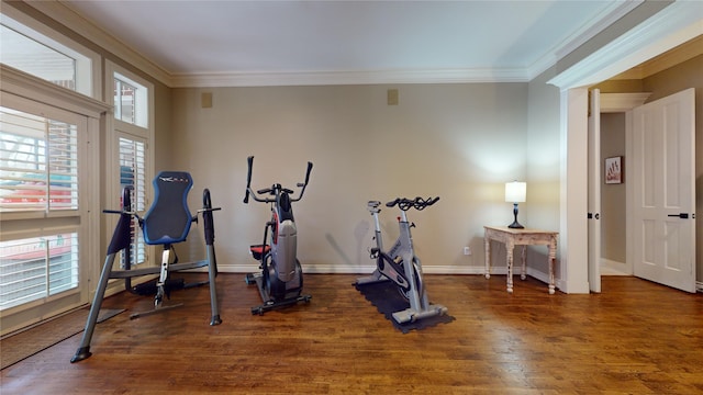 exercise room featuring ornamental molding and dark hardwood / wood-style floors