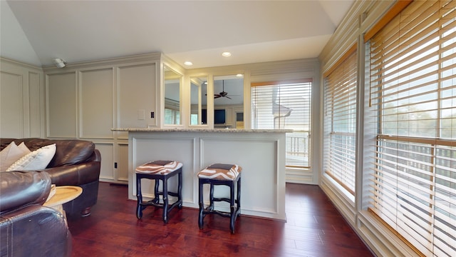 kitchen featuring dark hardwood / wood-style floors, ceiling fan, light stone countertops, and a wealth of natural light