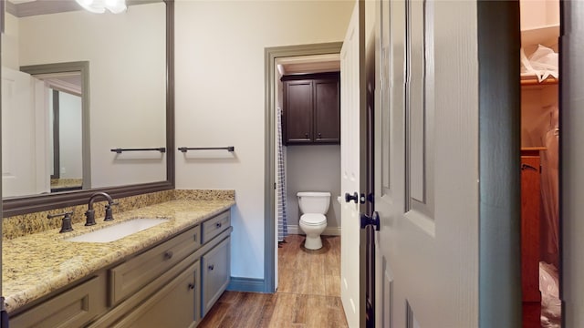 bathroom with vanity, toilet, and wood-type flooring