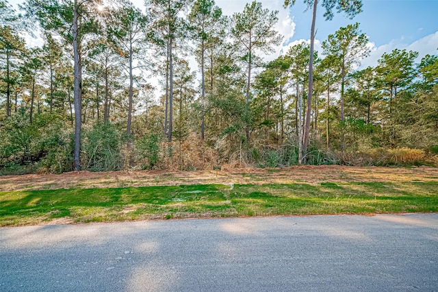 9332 Cedar Bnd, Plantersville TX, 77363 land for sale